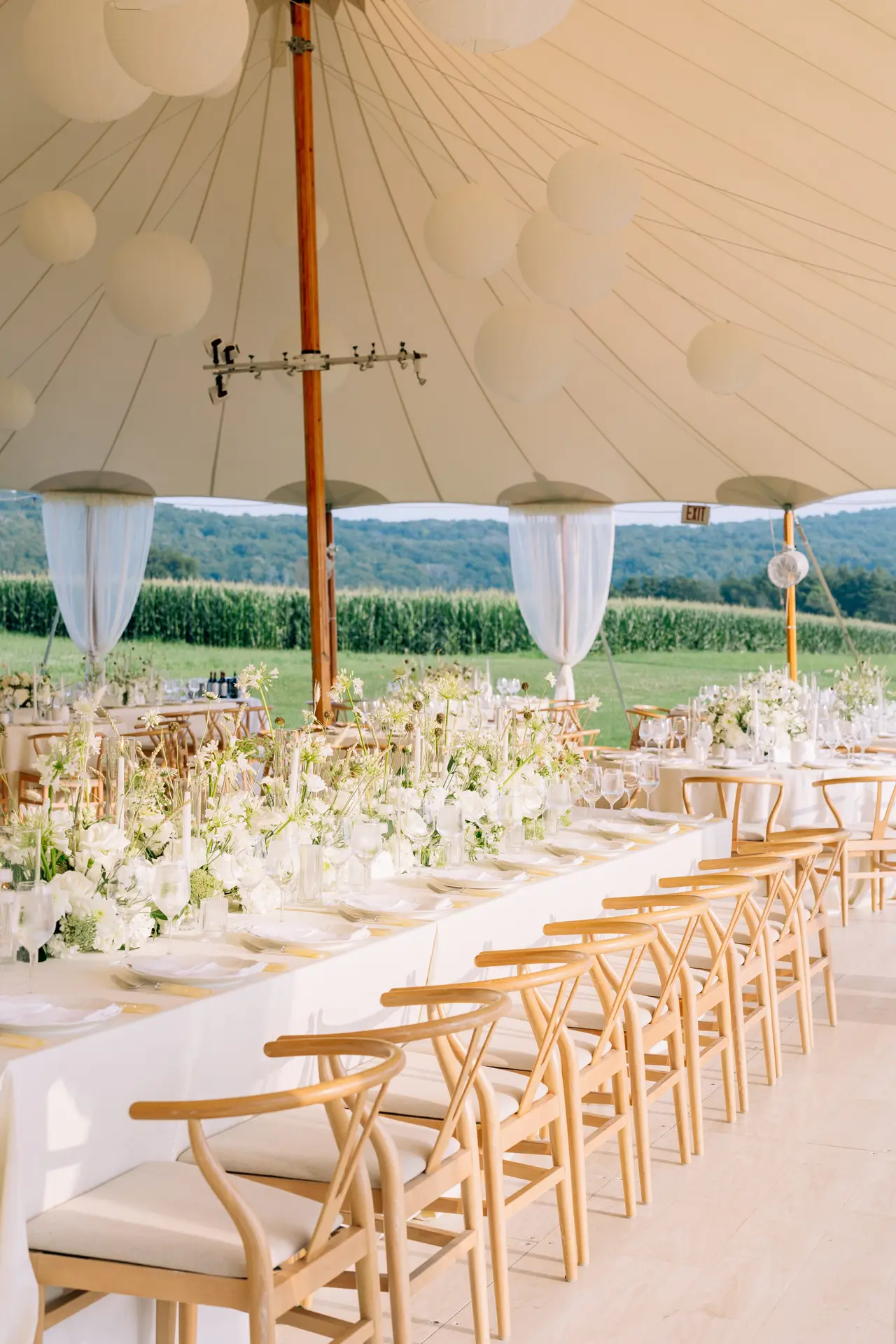lionrock farm sperry tent wedding