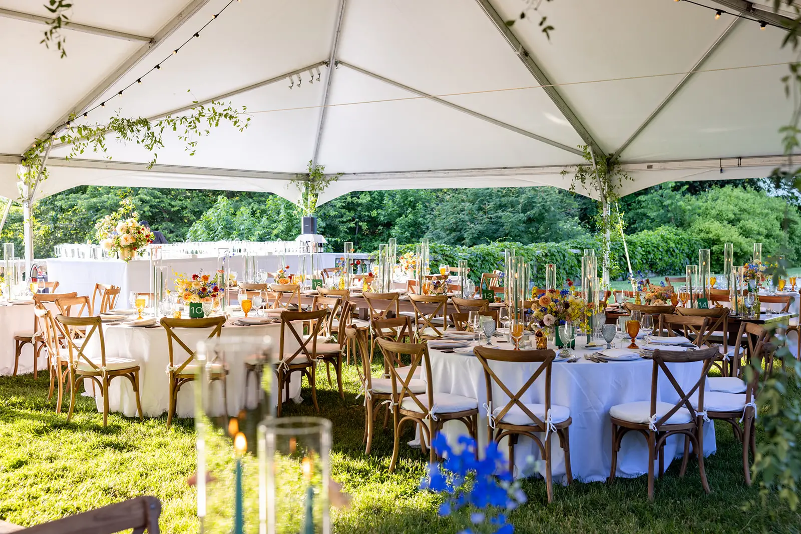 frame tent wedding in fairfield ct