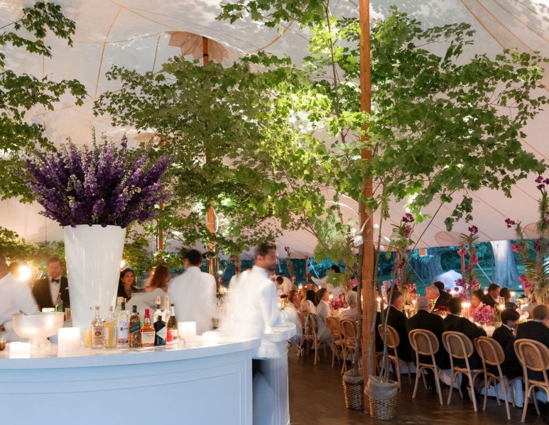 2023-AVS-Bud-0235 (1)