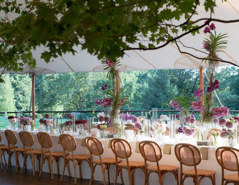 party equipment rental service