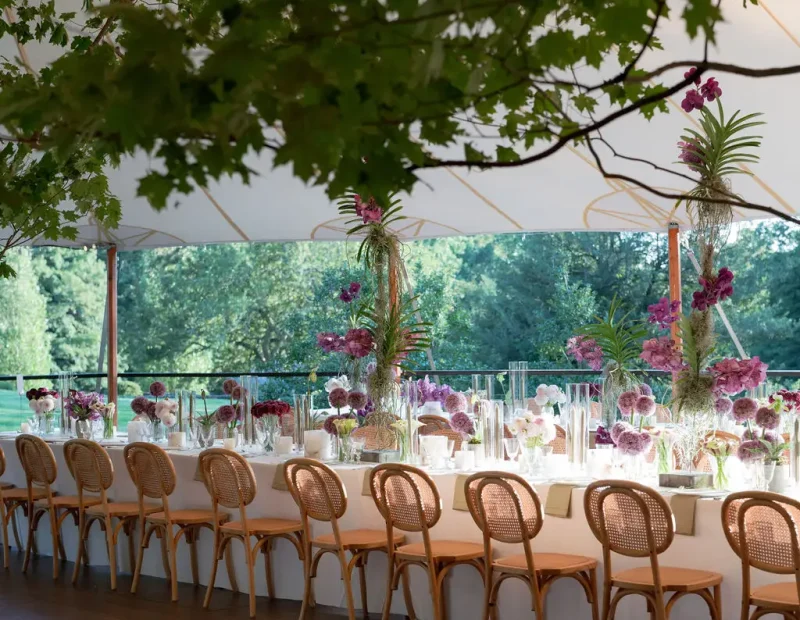 party equipment rental service