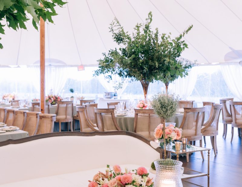 party equipment rental services