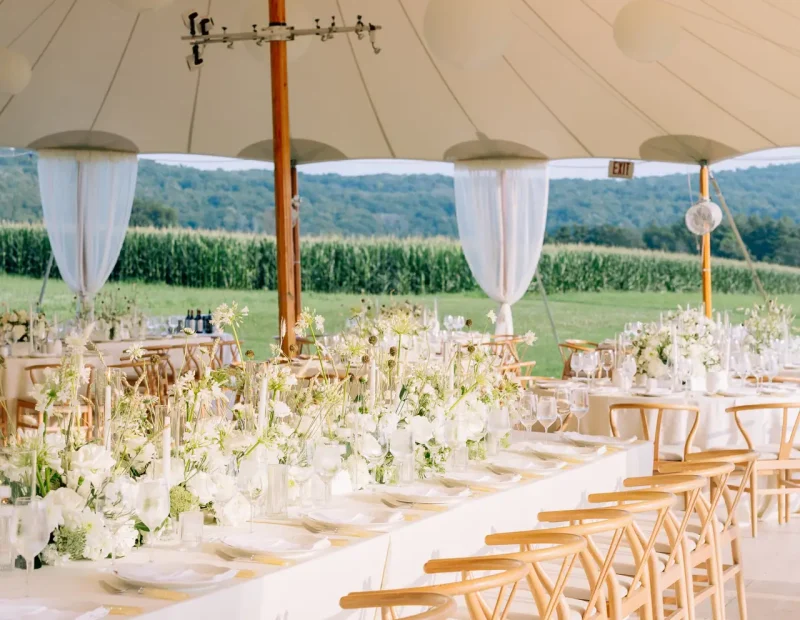 lionrock farm sperry tent wedding