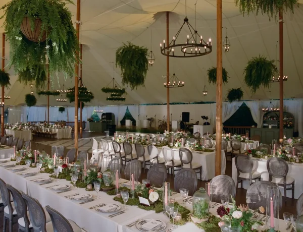 Backyard Wedding Tent