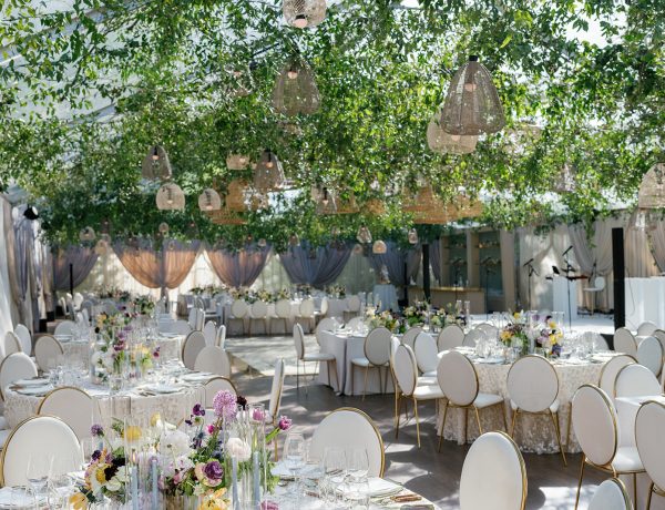 clear top frame tent