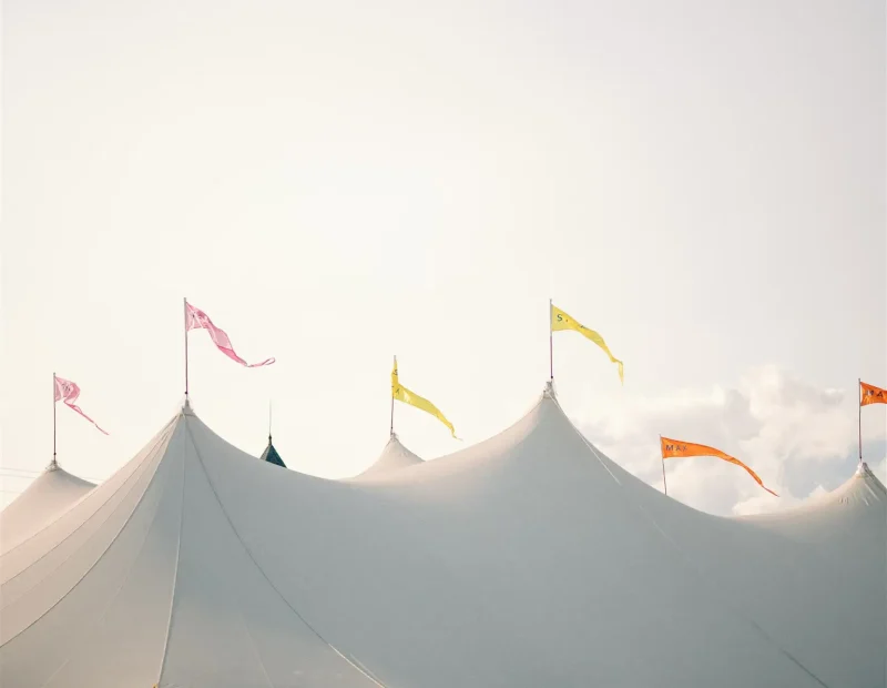 Sonja and Max wedding