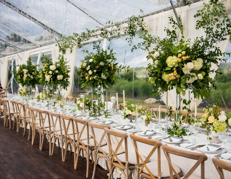 Photograph by SARAH BASTILLE