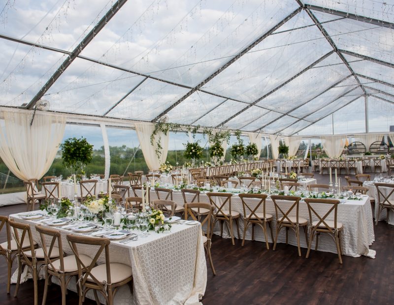 Photograph by SARAH BASTILLE