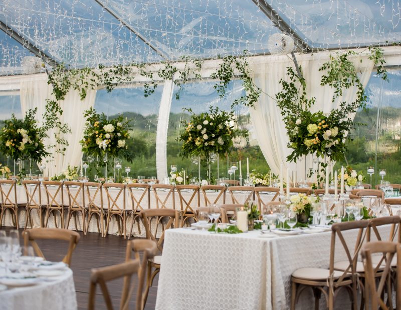 Photograph by SARAH BASTILLE