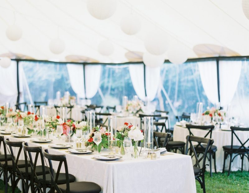 Photograph by LEILA BREWSTER