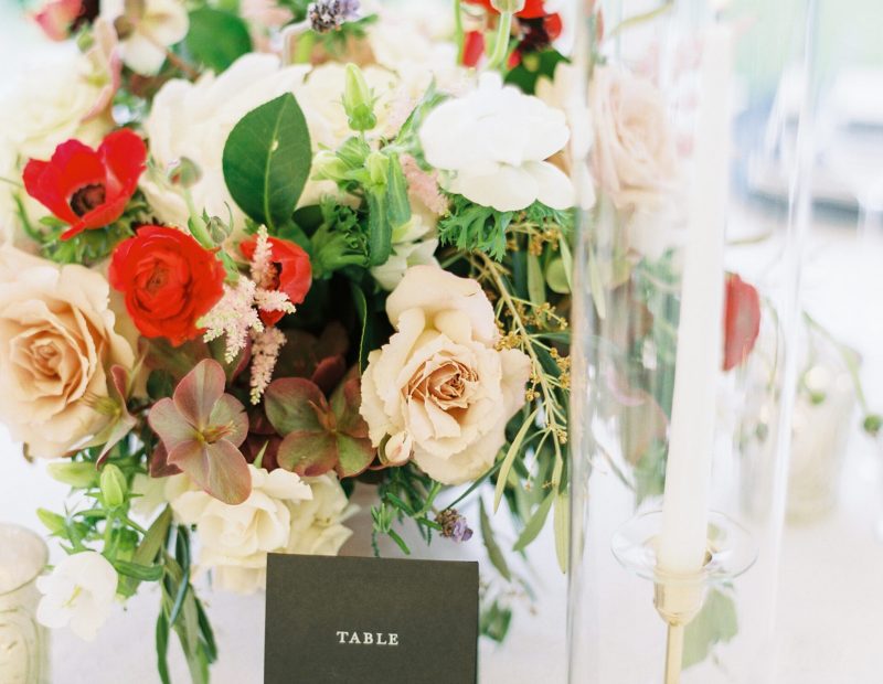 Photograph by LEILA BREWSTER